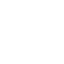 Automatic